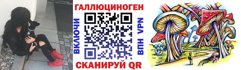 Галлюциногенные грибы Magic Shrooms  mega ССЫЛКА  Кодинск  что такое  